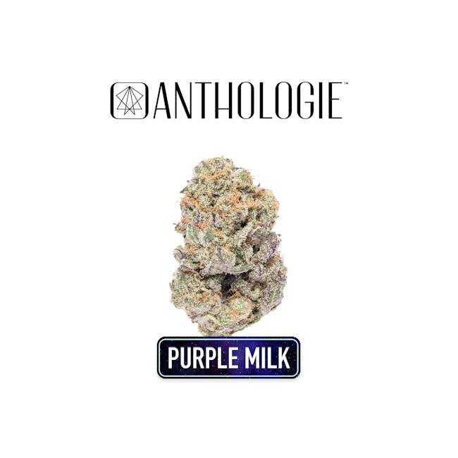 Purple Milk at Brotherly Bud Dispensary
